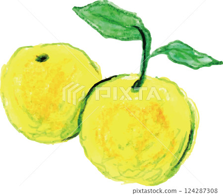 Aroma essential oil citrus bergamot 124287308