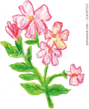 芳香精油花香茉莉沙巴 芳香精油花香茉莉沙巴 124287312