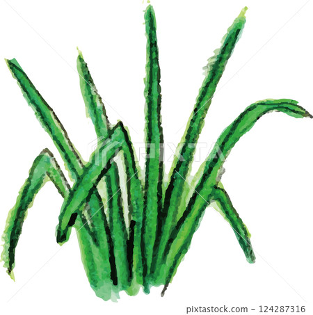 芳香精油柑橘檸檬草 124287316
