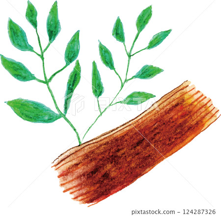 Aroma essential oil exotic sandalwood 124287326