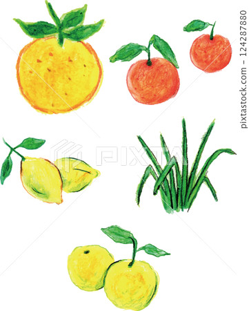 芳香精油柑橘 124287880