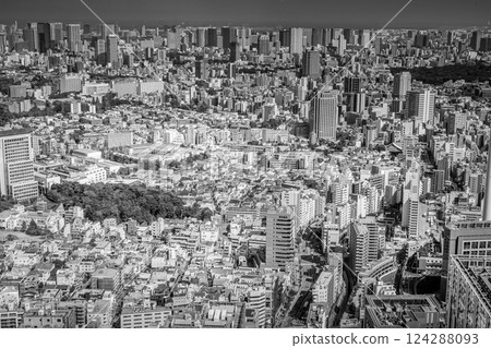 從澀谷天空展望台眺望 從澀谷天空展望台眺望 124288093