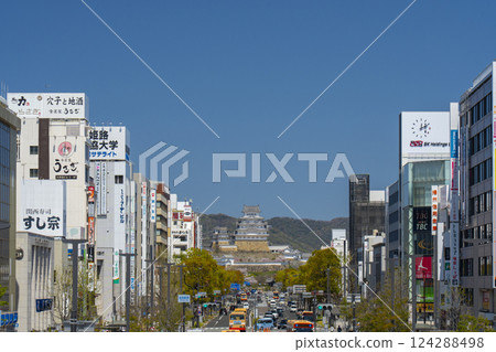 Himeji Castle and Otemae Street surrounded by cherry blossoms in full bloom (view from Castle View) Himeji Castle and Otemae Street surrounded by cherry blossoms in full bloom (view from Castle View) 124288498