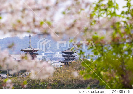 Nishinokyo - View of Yakushiji Temple across the large pond - Cherry blossoms in full bloom 124288506