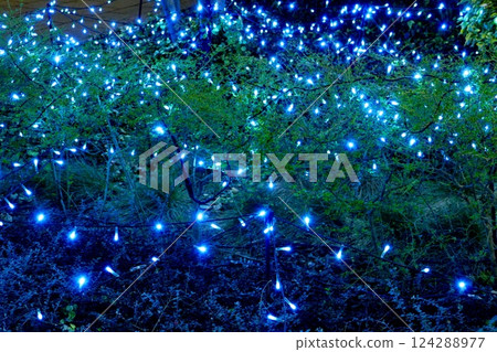 照明：藍色 124288977