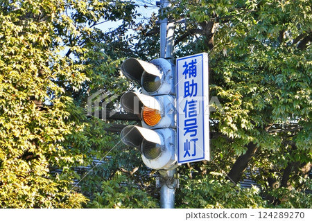 輔助信號燈 124289270