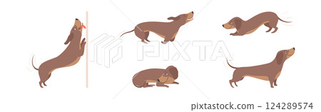 Brown Funny Dachshund Dog and Puppy in Different Pose Vector Set Brown Funny Dachshund Dog and Puppy in Different Pose Vector Set 124289574