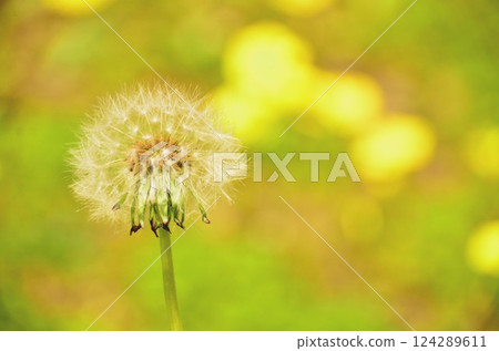 Warm weather 124289611