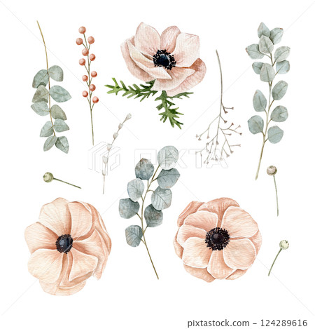 Watercolor hand drawn set with three anemones, branches of eucalyptus, dry flowers and berries Watercolor hand drawn set with three anemones, branches of eucalyptus, dry flowers and berries 124289616