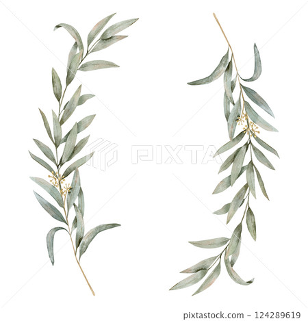 Watercolor hand drawn frame with a eucalyptus branch and a blooming eucalyptus branch on a savage green color  124289619