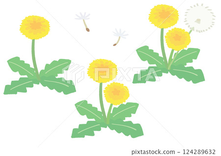 Various dandelions 124289632
