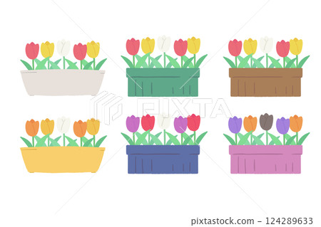 鬱金香盆栽套裝 124289633