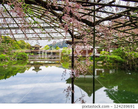 Spring in Kyoto: Heian Shrine Gardens 124289691