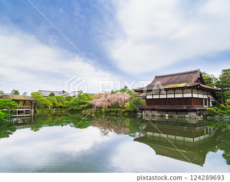 Spring in Kyoto: Heian Shrine Gardens Spring in Kyoto: Heian Shrine Gardens 124289693