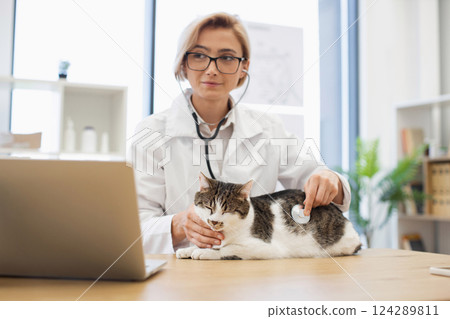 Young adult female veterinarian using stethoscope to check health of domestic cat. Professional care clinic setting with tools emphasizing dedication and compassion for animal health maintenance. 124289811