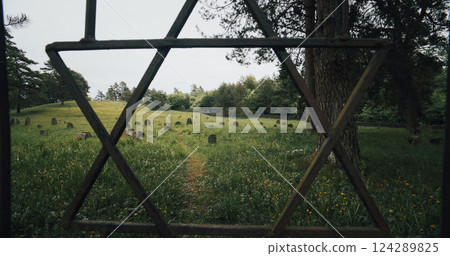 David star on door entrance to jewish grave, Old ancient Jewish cemetery in summer spring day. Druya, Belarus. green grass and many ancient stones. Headstone Headstones Tombstones. 124289825