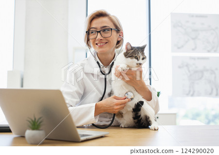 Female veterinarian using stethoscope examining cat in modern clinic setting near laptop. Smiling woman interacting with animal, showcasing care and professionalism in veterinary practice. 124290020