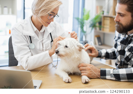 Veterinarian examines small white dog at clinic, attended by male owner in plaid shirt. Service performed in bright medical environment showcasing pet care, compassion, professional attention. Veterinarian examines small white dog at clinic, attended by male owner in plaid shirt. Service performed in bright medical environment showcasing pet care, compassion, professional attention. 124290133