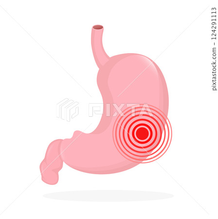 Stomach organ. Flat cartoon vector illustration. Health care concept. Isolated vector icon. Human organs isolated on white background. Stomach organ. Flat cartoon vector illustration. Health care concept. Isolated vector icon. Human organs isolated on white background. 124291113