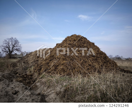 Pile of manure dumped in a field by a farmer to fertilize the farmland for the next harvest. Farming. Organic fertilizer before sowing - a pile of manure 124291246