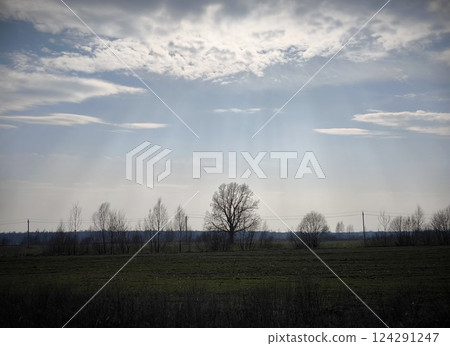 Beautiful natural landscape - Sunlight falls on the trees in the field in early spring. A fascinating natural phenomenon. Beautiful natural landscape - Sunlight falls on the trees in the field in early spring. A fascinating natural phenomenon. 124291247