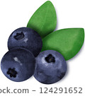 Blueberry drawing Blueberry drawing 124291652