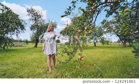 Woman barefoot, harvesting ripe red apples from branch amid sunlit green orchard Woman barefoot, harvesting ripe red apples from branch amid sunlit green orchard 124291861