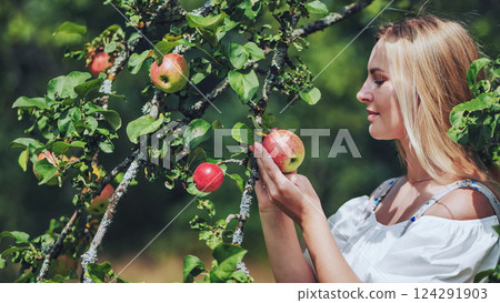 Blonde farmer harvesting vibrant red apples in sunlit orchard, savoring fresh organic crop 124291903