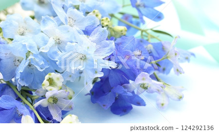 Delphinium Bouquet Delphinium Bouquet 124292136