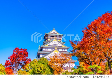 Osaka Castle and vibrant autumn foliage 124293183
