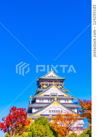 Osaka Castle and vibrant autumn foliage Osaka Castle and vibrant autumn foliage 124293185