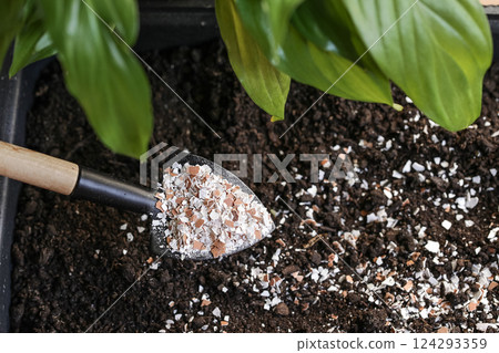 Fertilizer for Flowers Eggshells. Organic waste, Bio Compost waste recycling 124293359