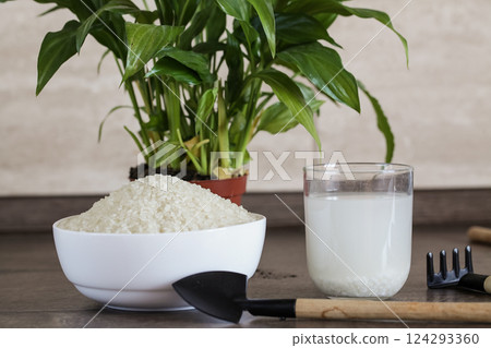 Fertilizer for Soil Rice Water. Organic waste, Bio Compost waste recycling 124293360