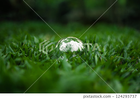 Marble reflects trees in the forest on dark green grass. 124293737