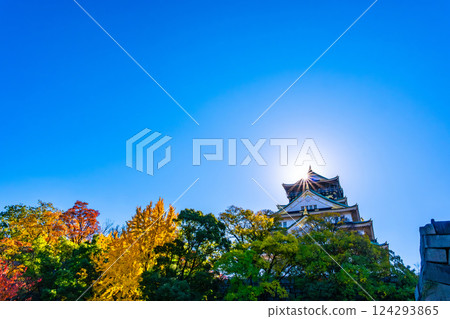 秋天的大阪城 秋天的大阪城 124293865