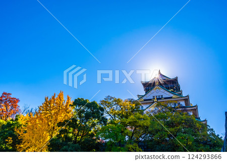 Osaka Castle in Autumn 124293866