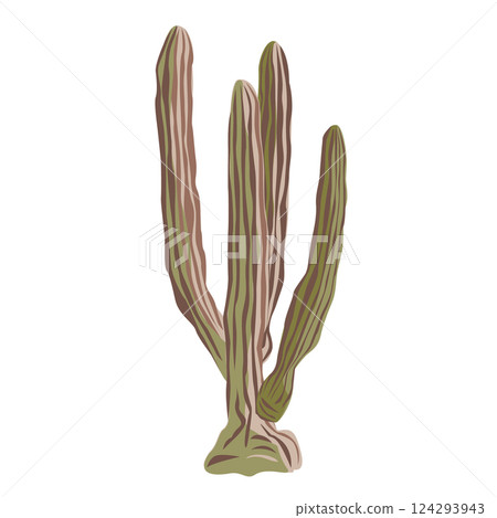 Mexican giant cardon or Pachycereus pringlei cactus. Vector isolated illustration Mexican giant cardon or Pachycereus pringlei cactus. Vector isolated illustration 124293943
