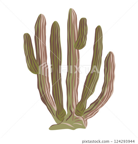 Old Mexican giant cardon or Pachycereus pringlei cactus. Vector isolated illustration. Old Mexican giant cardon or Pachycereus pringlei cactus. Vector isolated illustration. 124293944