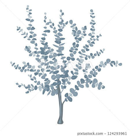 Small baby blue eucalyptus tree isolated vector illustration. Young silver dollar eucalyptus plant Small baby blue eucalyptus tree isolated vector illustration. Young silver dollar eucalyptus plant 124293961