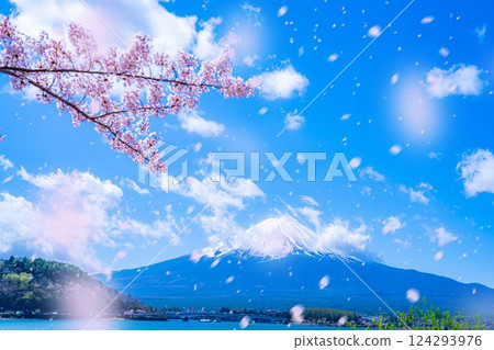[櫻花暴雪素材] 從盛開的櫻花樹下的河口湖北岸觀賞富士山和櫻花暴雪 [山梨縣] 124293976