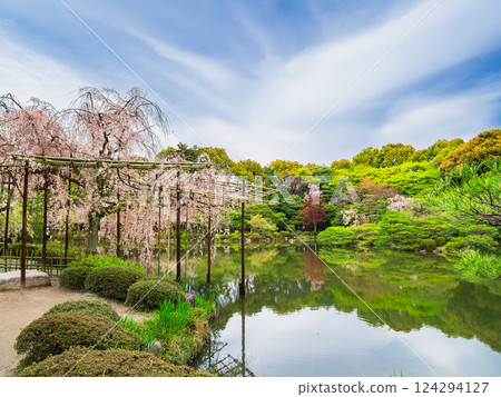 Spring in Kyoto: Heian Shrine Gardens 124294127
