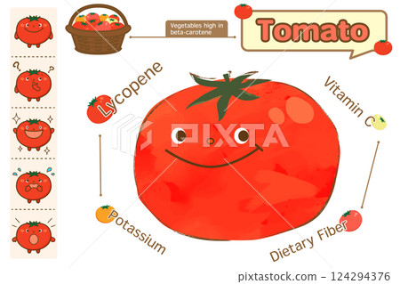 Cute tomato nutrition illustration (English version) 124294376
