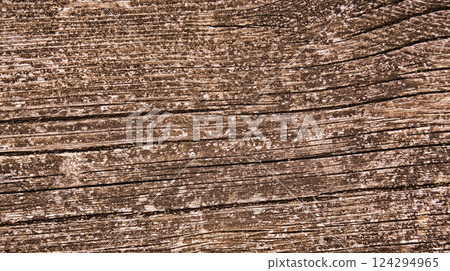 Wood Textured Background Wood Textured Background 124294965