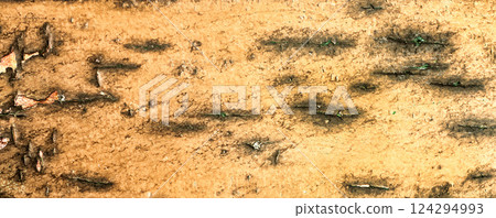 Wall Surface 124294993