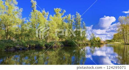 Biesbosch National Park, Netherlands 124295071
