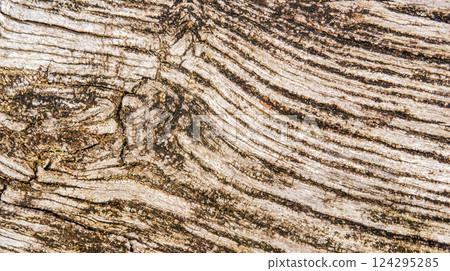 Wood Textured Background Wood Textured Background 124295285