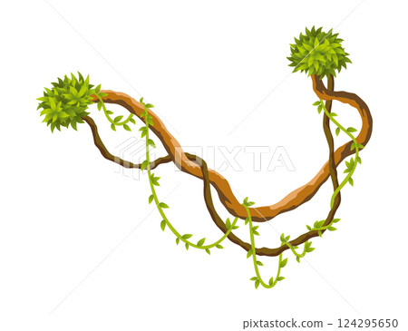 Liana branch. Twisted wild jungle vine plants. Woody natural tropical rainforest, exotic botany element. Vector design element 124295650