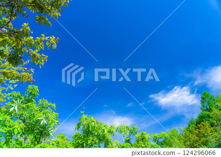 [初夏素材]清新的綠色和藍天[長野縣] 124296066
