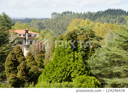 Building among the vegetation. 124296438