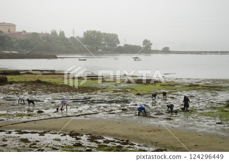 Shellfish gatherers in the Ferrol estuary. 124296449